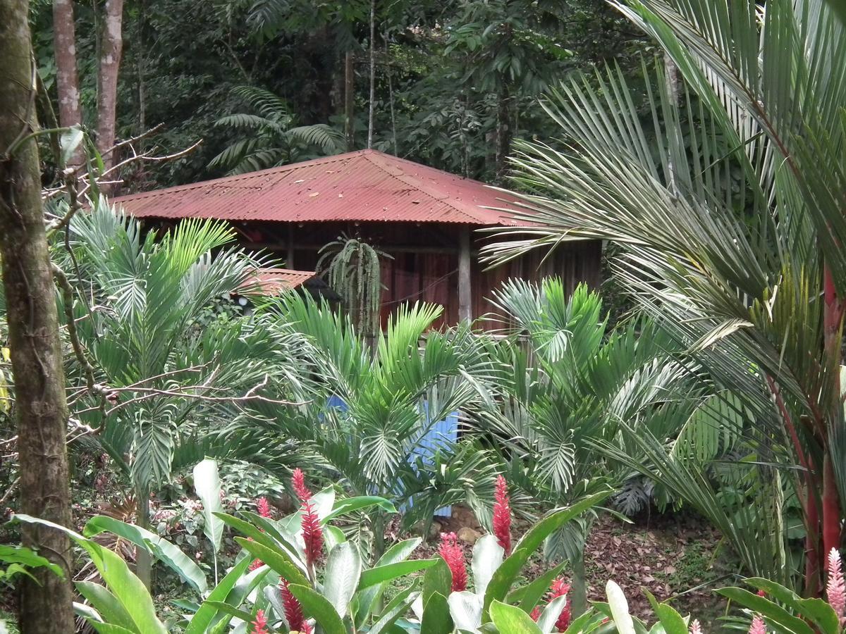 Hotel Valle Azul San Gerardo Room photo